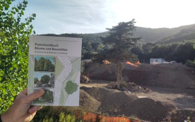 [BUCH] Praxishandbuch Bäume und Baustellen. Baumschutz von der Planung bis zur Ausführung.